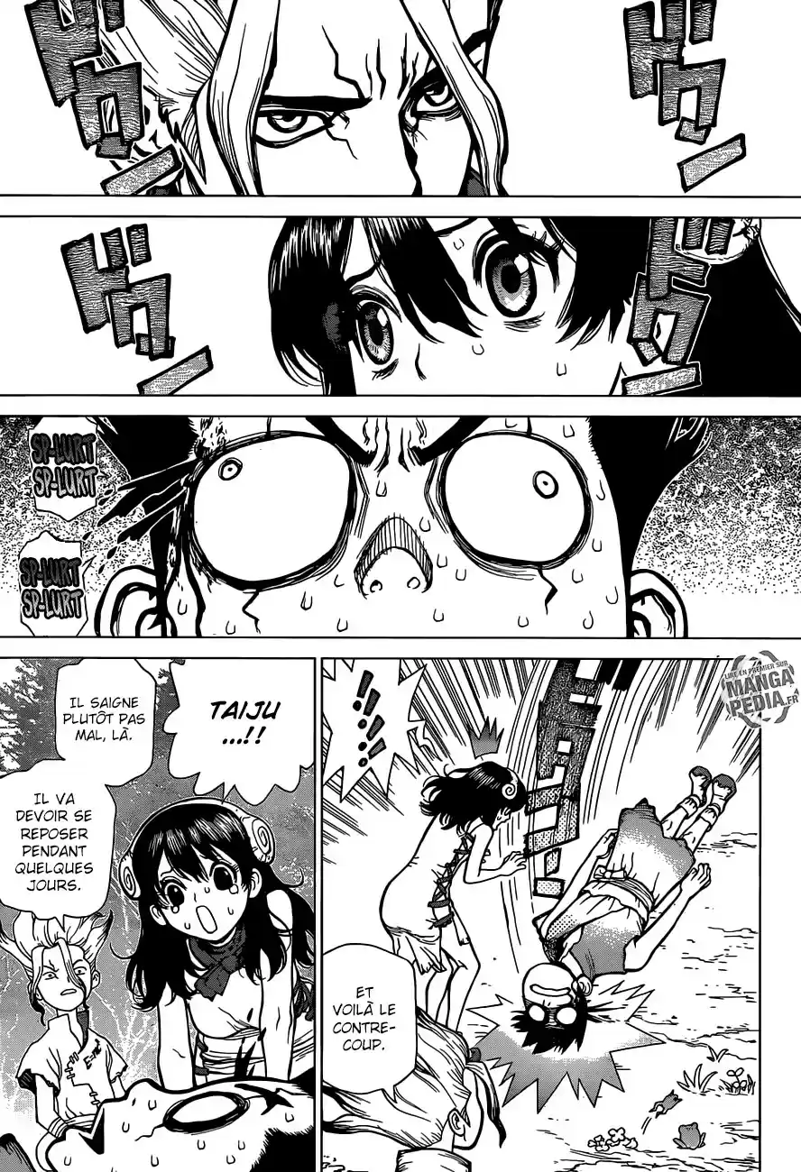 Read Dr. Stone FR Manga Online