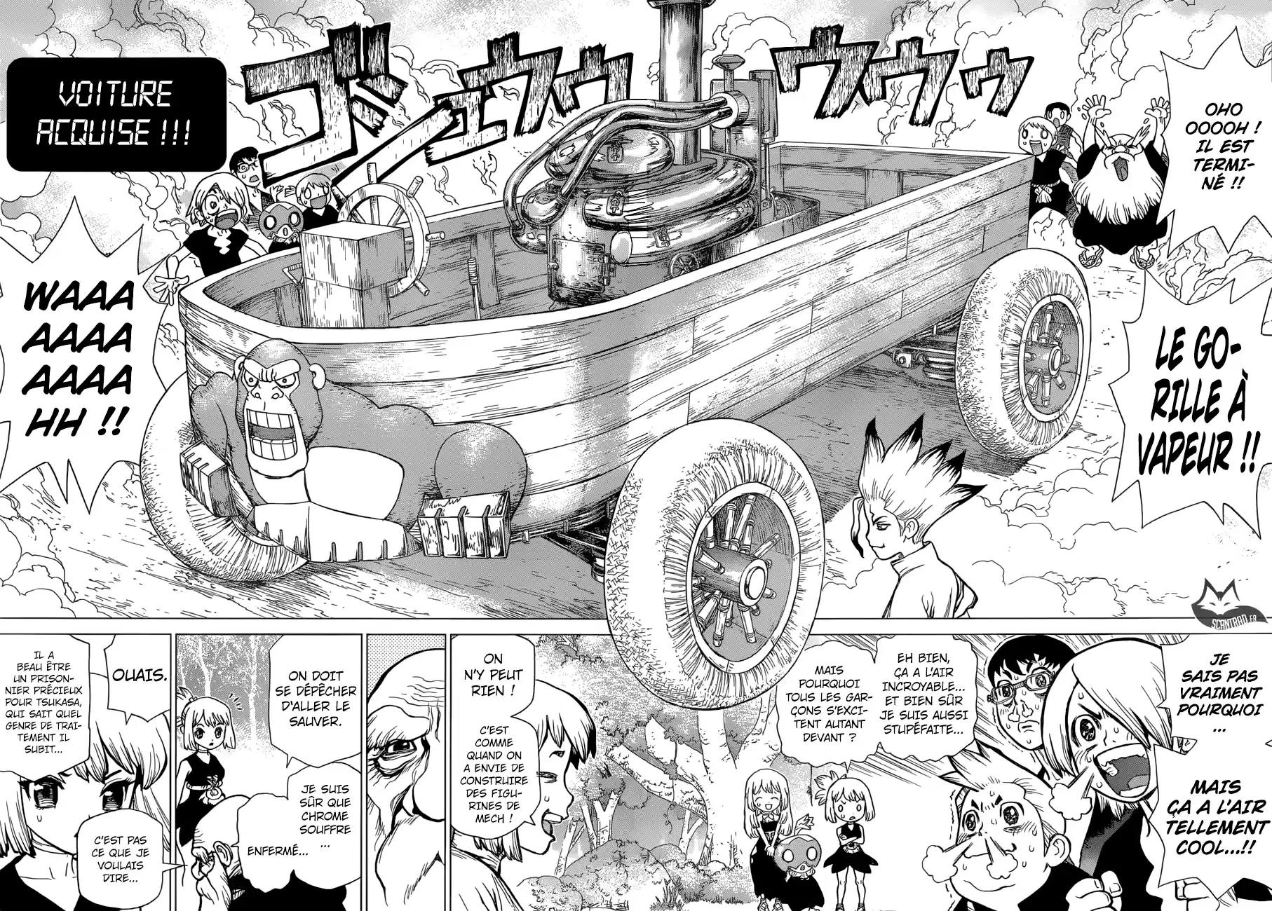 Read Dr. Stone FR Manga Online