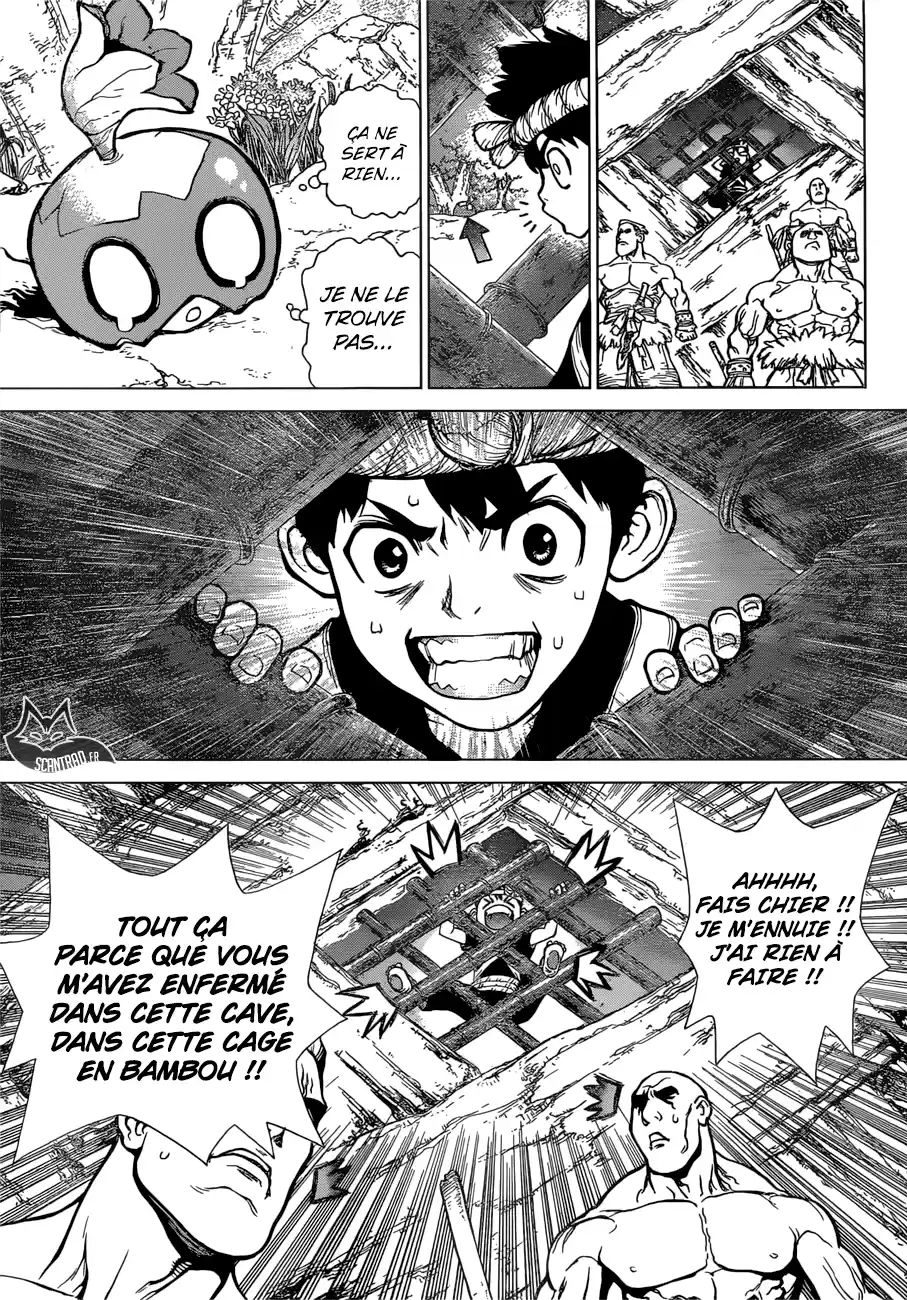 Read Dr. Stone FR Manga Online