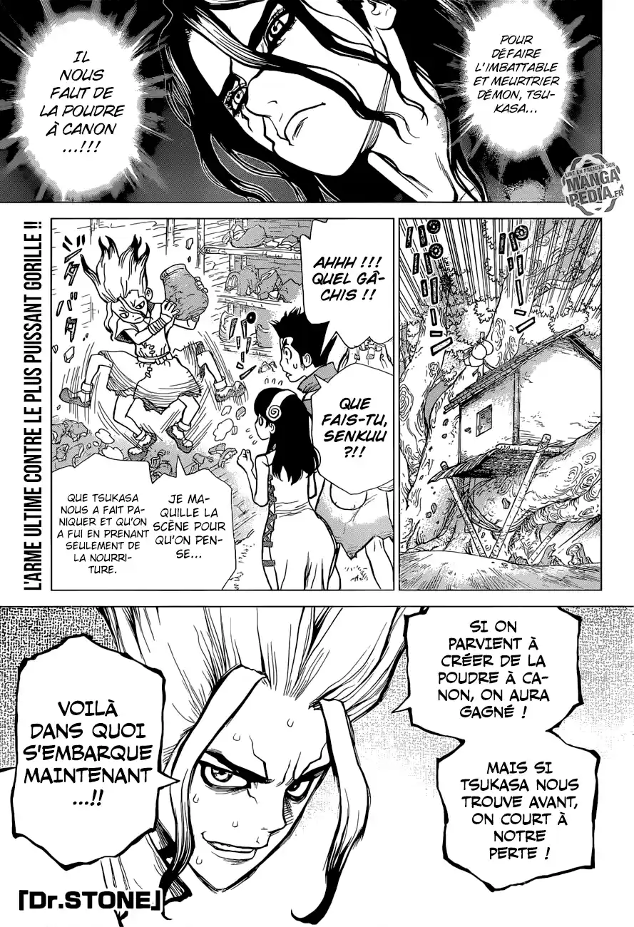 Read Dr. Stone FR Manga Online