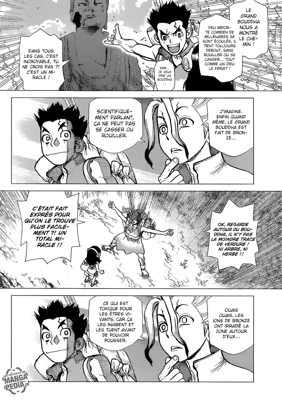 Read Dr. Stone FR Manga Online