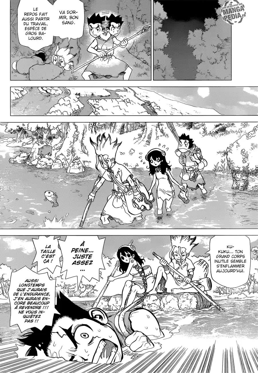 Read Dr. Stone FR Manga Online