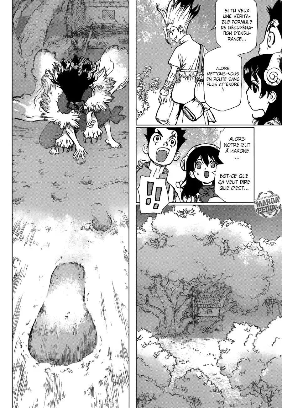 Read Dr. Stone FR Manga Online