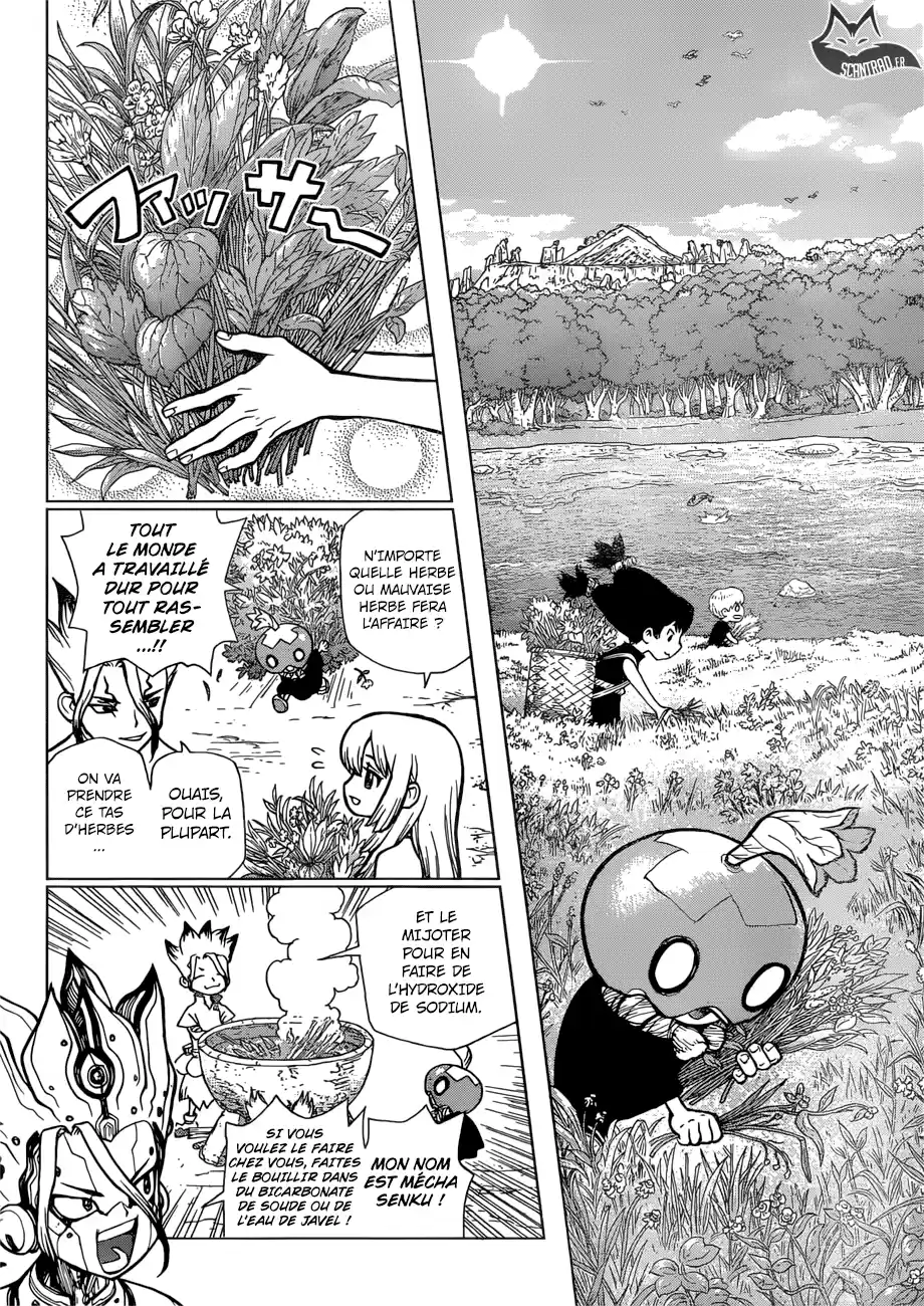 Read Dr. Stone FR Manga Online