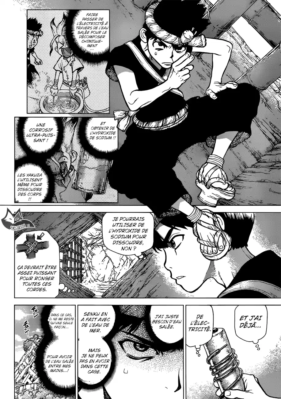 Read Dr. Stone FR Manga Online