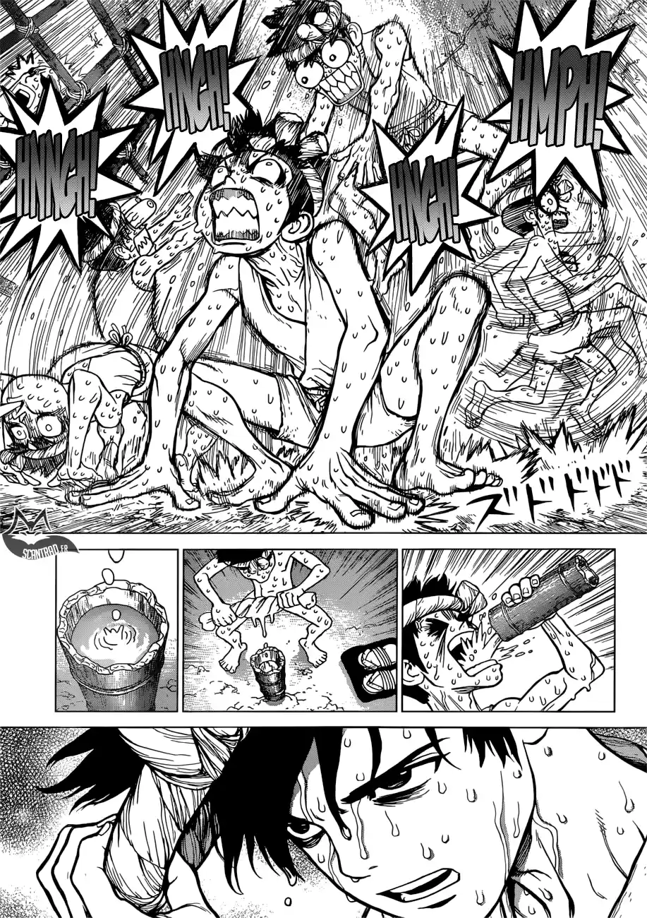 Read Dr. Stone FR Manga Online