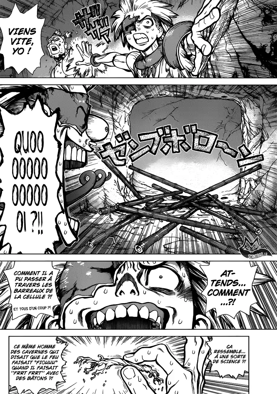 Read Dr. Stone FR Manga Online