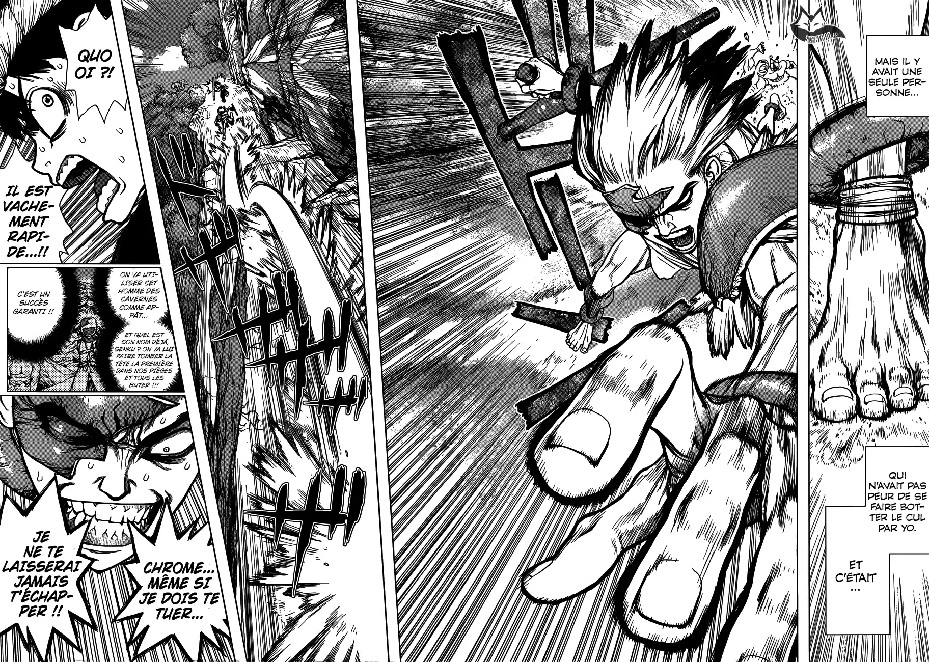 Read Dr. Stone FR Manga Online
