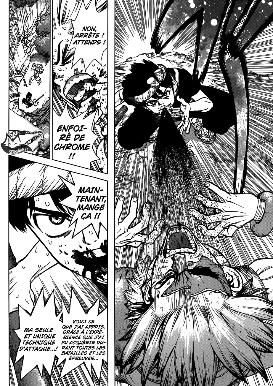Read Dr. Stone FR Manga Online