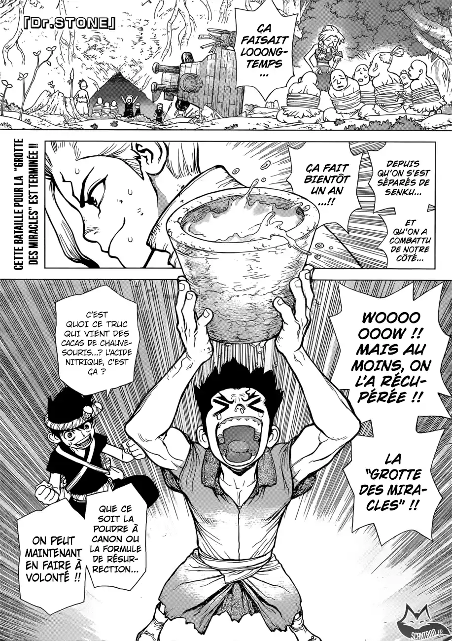 Read Dr. Stone FR Manga Online