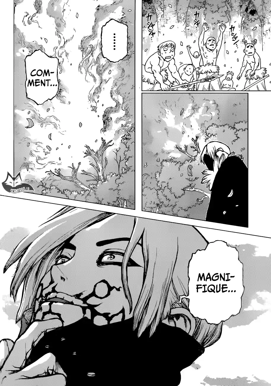 Read Dr. Stone FR Manga Online