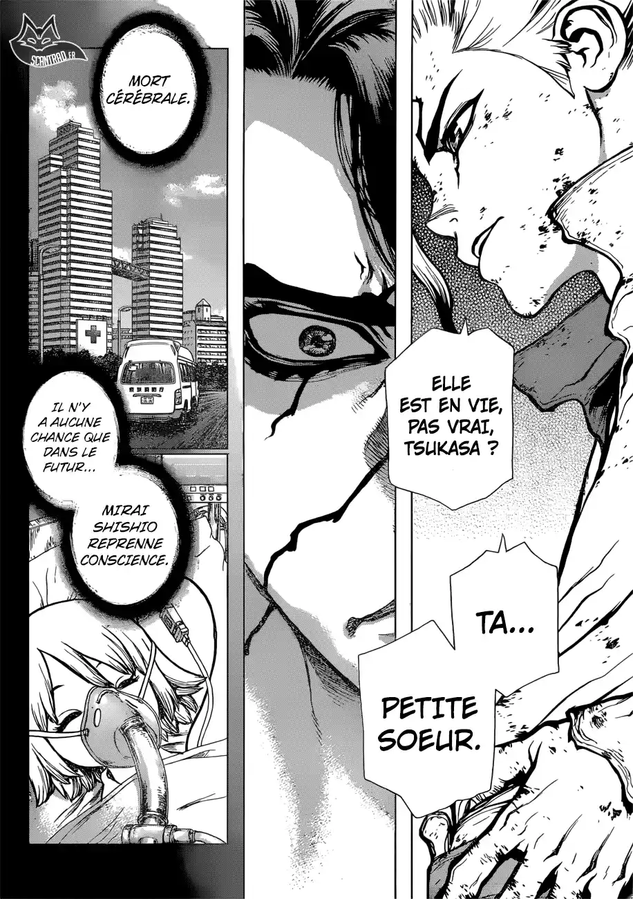 Read Dr. Stone FR Manga Online