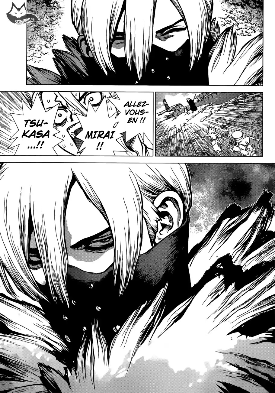 Read Dr. Stone FR Manga Online