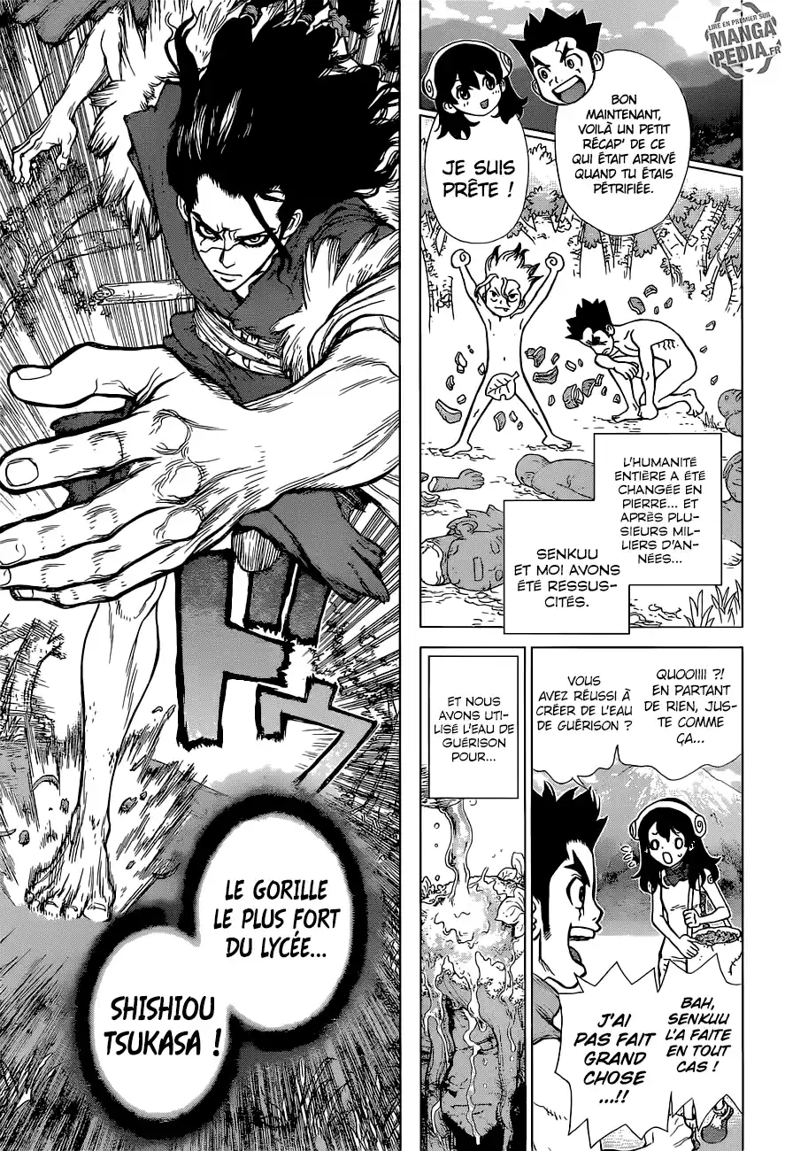 Read Dr. Stone FR Manga Online