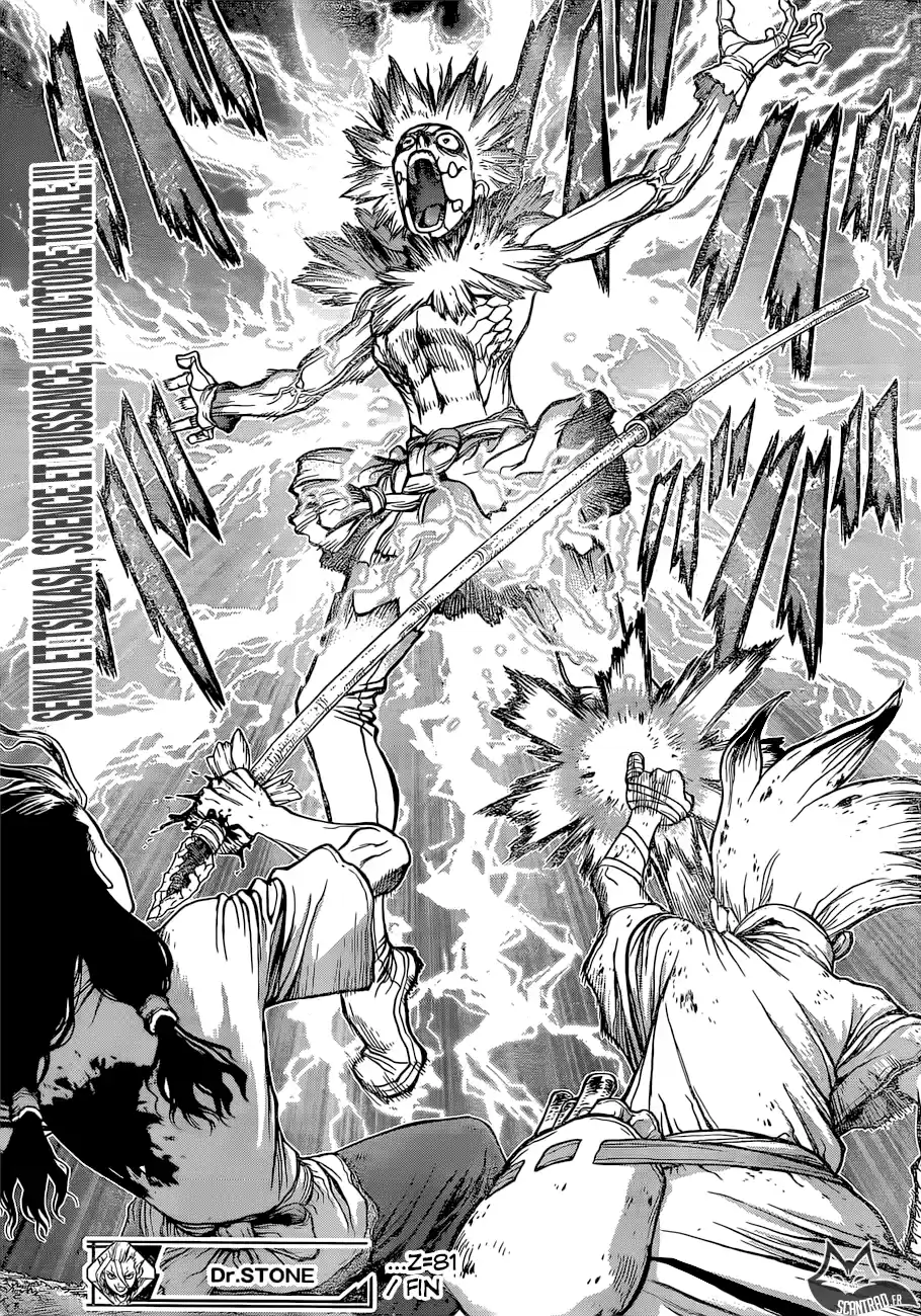 Read Dr. Stone FR Manga Online