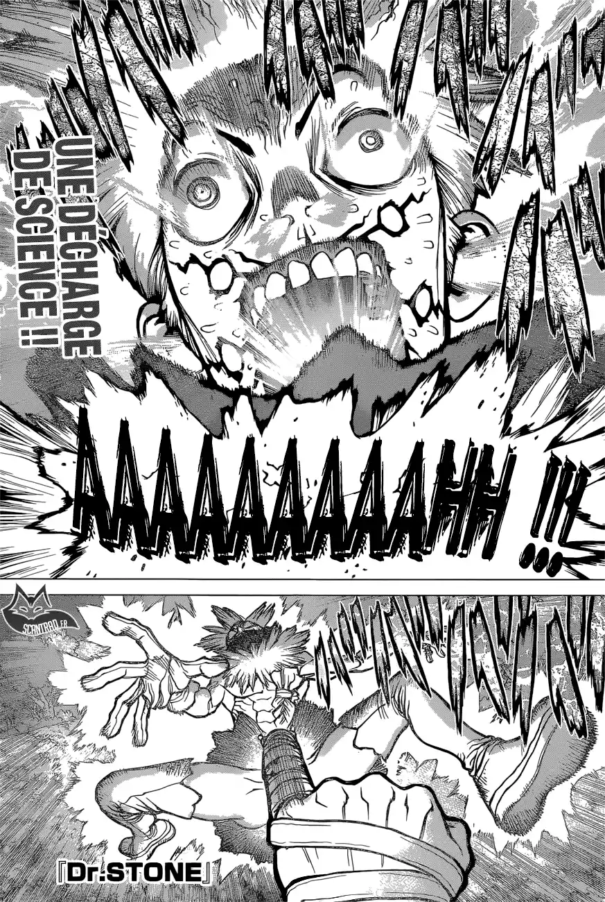 Read Dr. Stone FR Manga Online