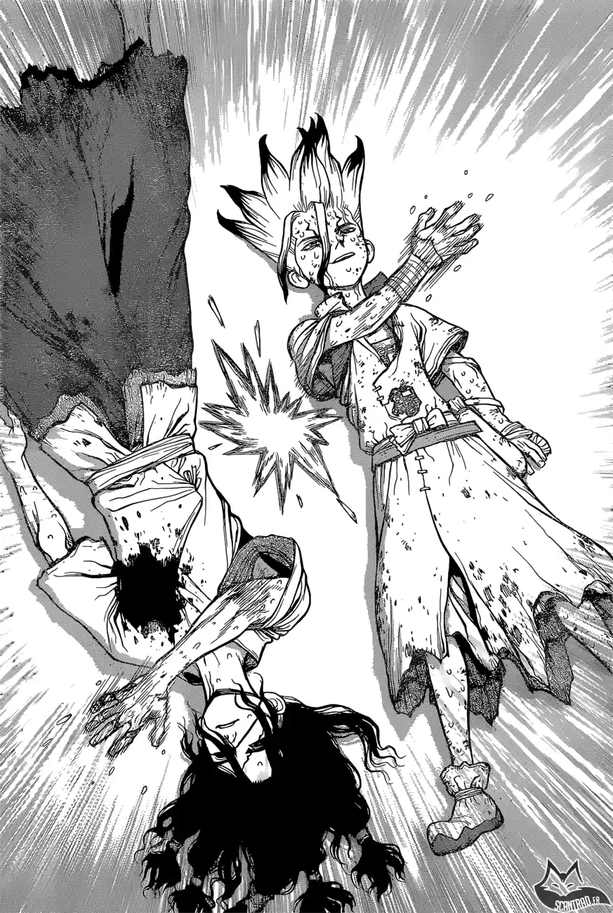Read Dr. Stone FR Manga Online