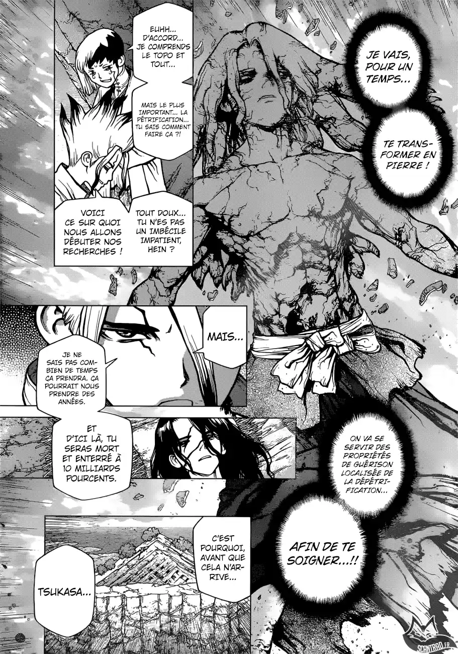 Read Dr. Stone FR Manga Online