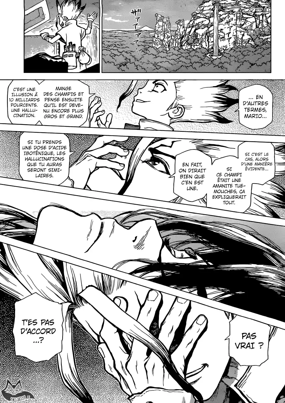 Read Dr. Stone FR Manga Online