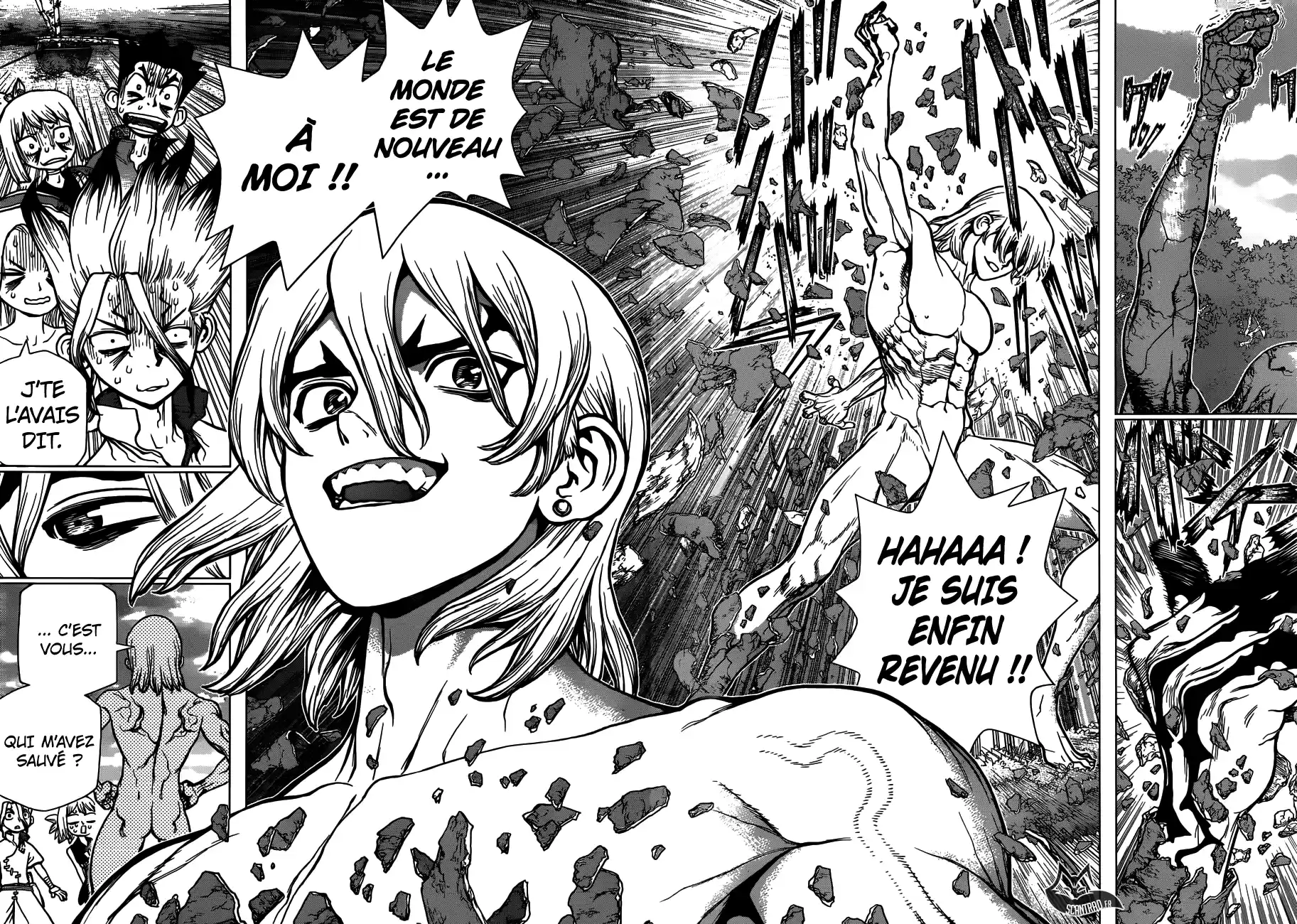 Read Dr. Stone FR Manga Online
