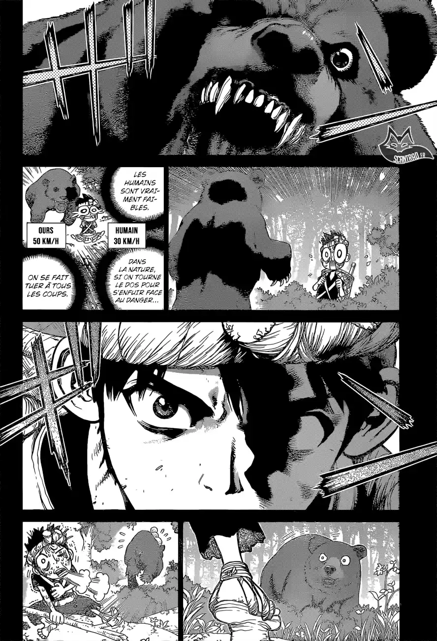 Read Dr. Stone FR Manga Online