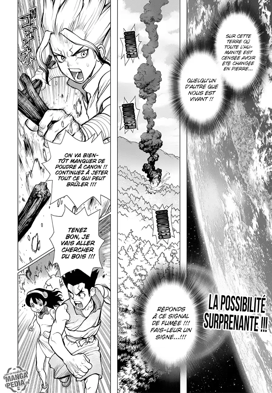 Read Dr. Stone FR Manga Online
