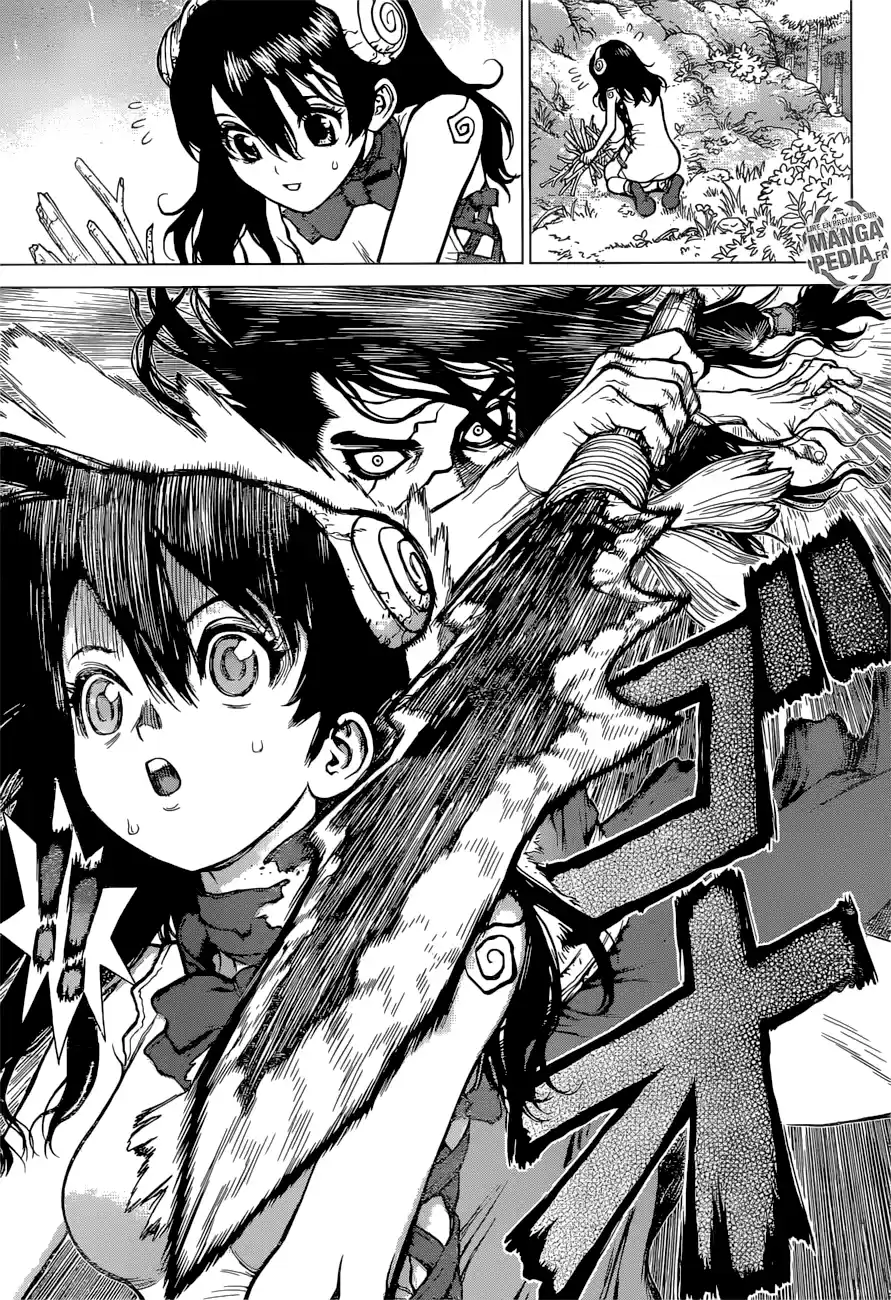 Read Dr. Stone FR Manga Online