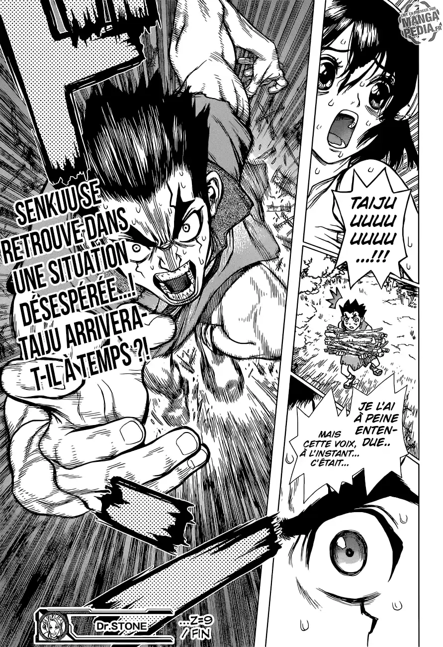 Read Dr. Stone FR Manga Online