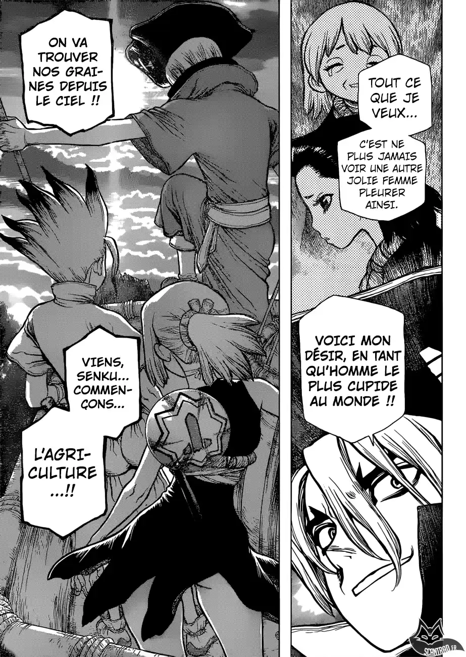 Read Dr. Stone FR Manga Online