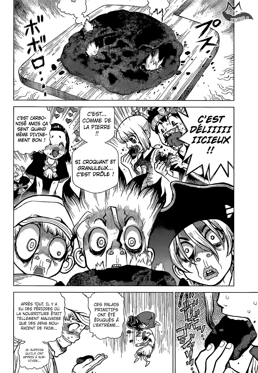 Read Dr. Stone FR Manga Online