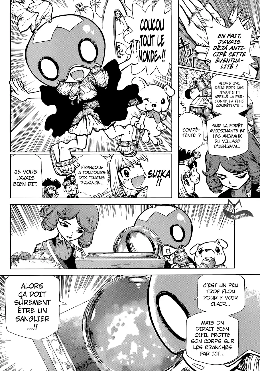 Read Dr. Stone FR Manga Online