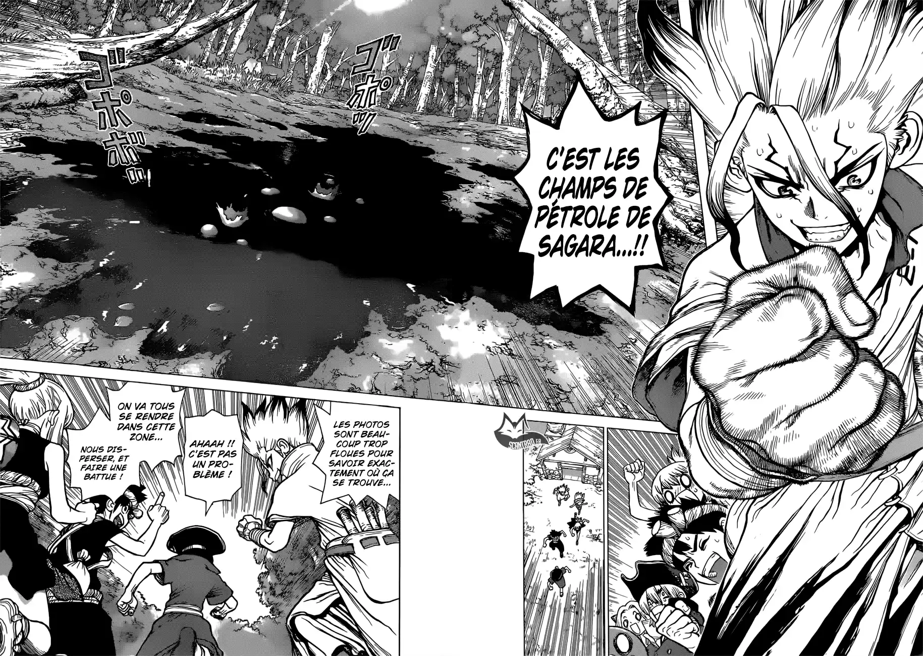 Read Dr. Stone FR Manga Online