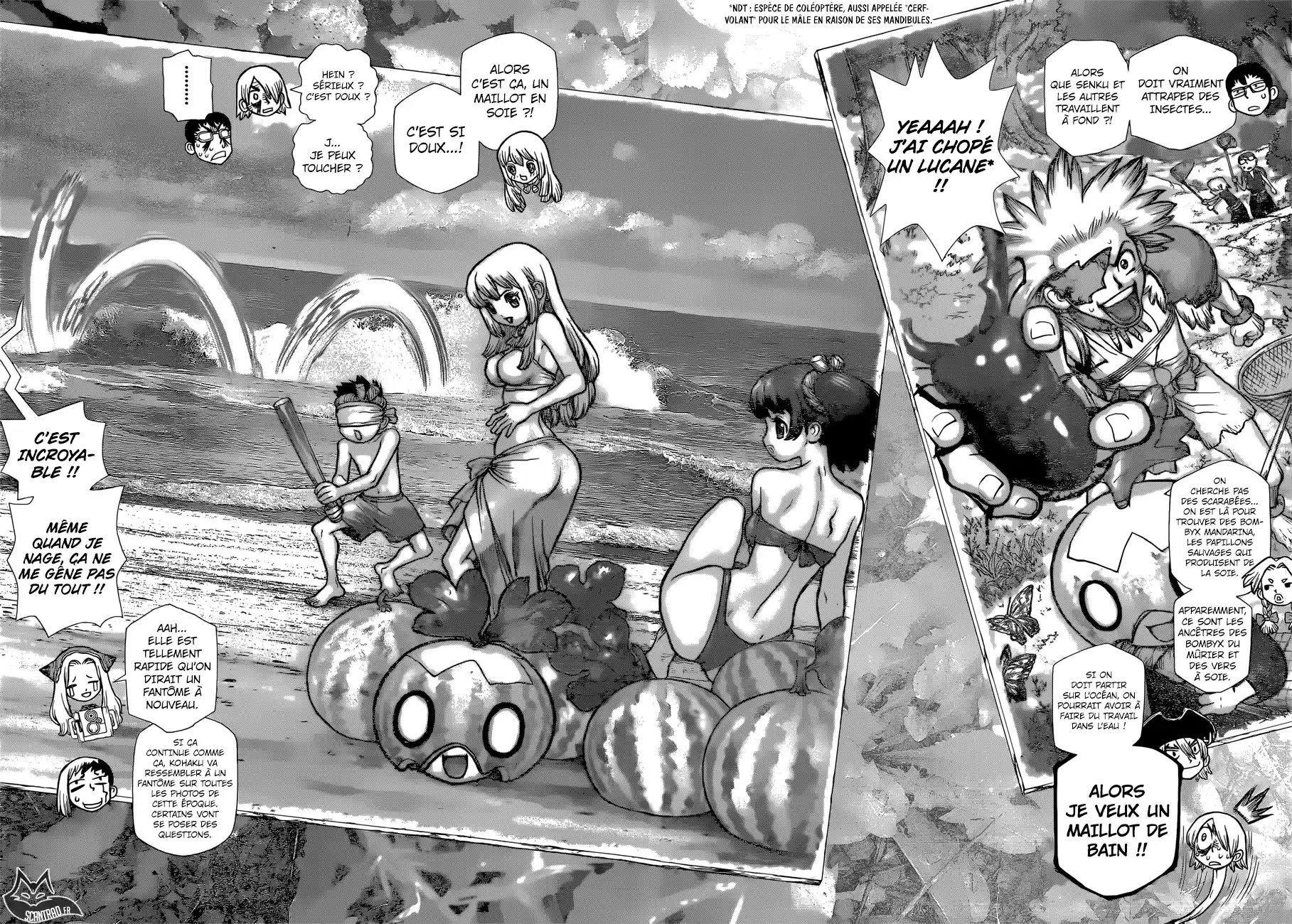 Read Dr. Stone FR Manga Online
