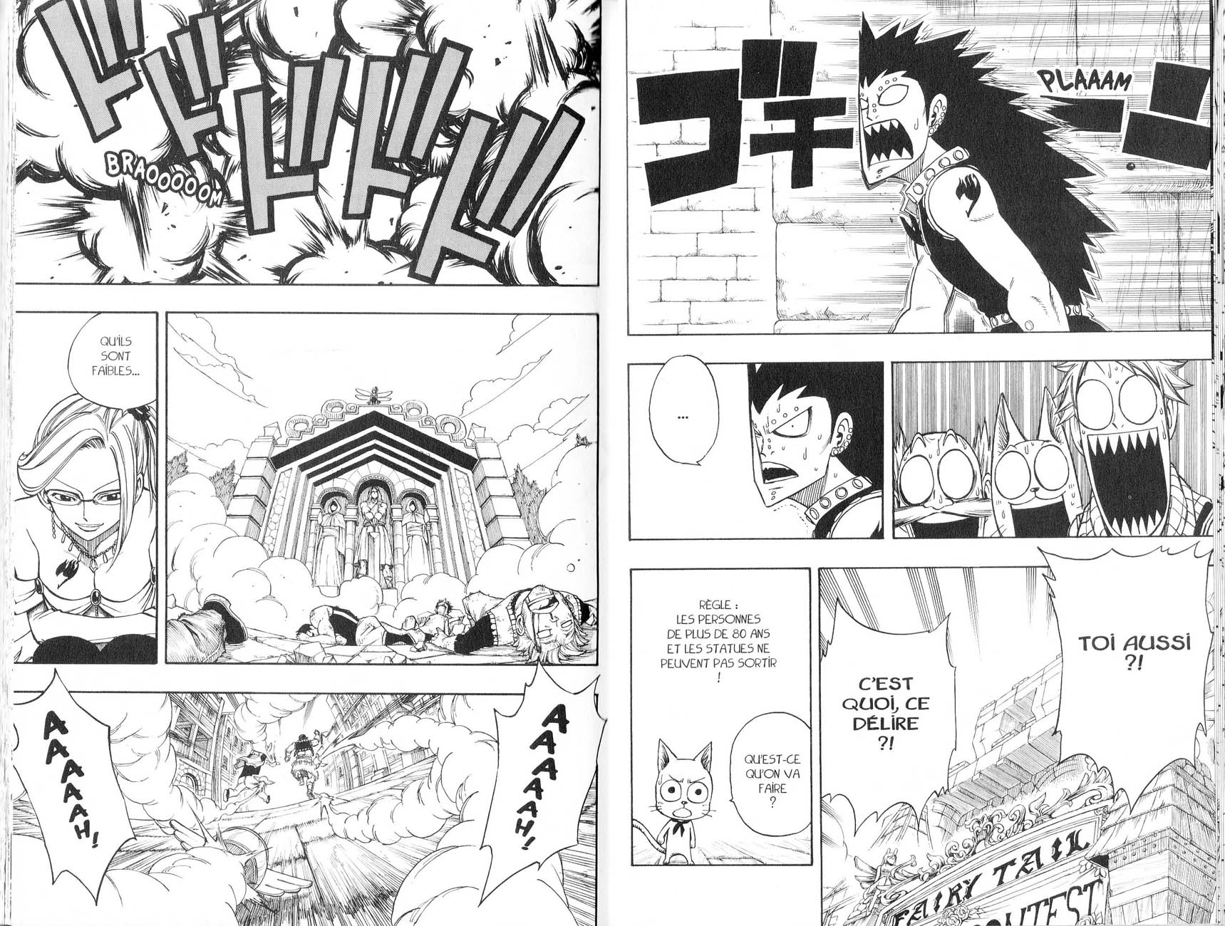 Read Fairy Tail FR Manga Online