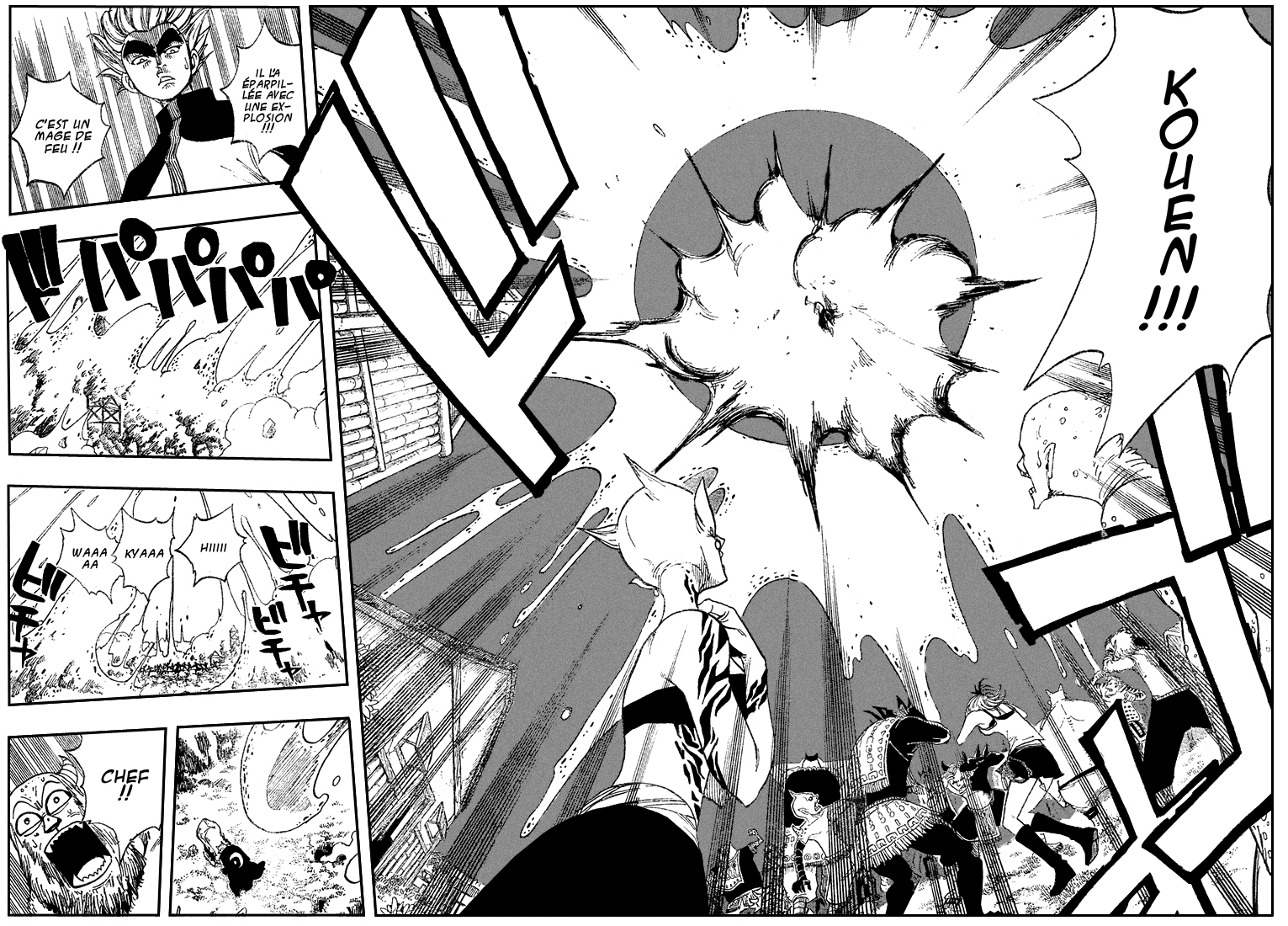 Read Fairy Tail FR Manga Online