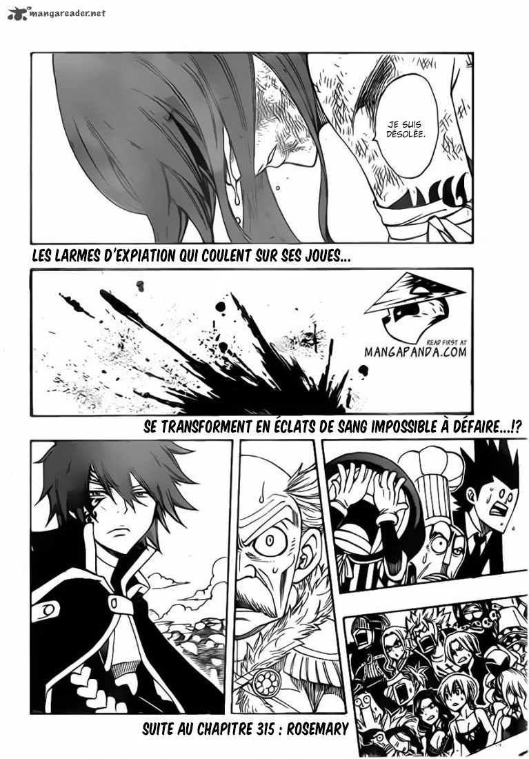 Read Fairy Tail FR Manga Online