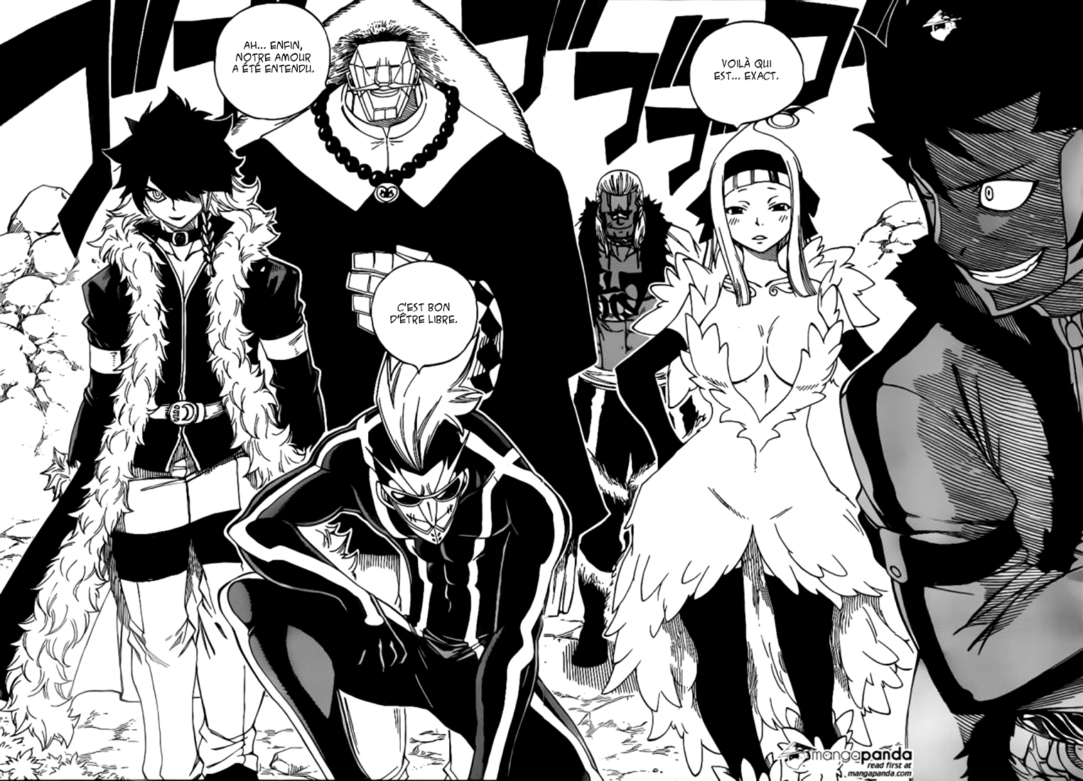 Read Fairy Tail FR Manga Online