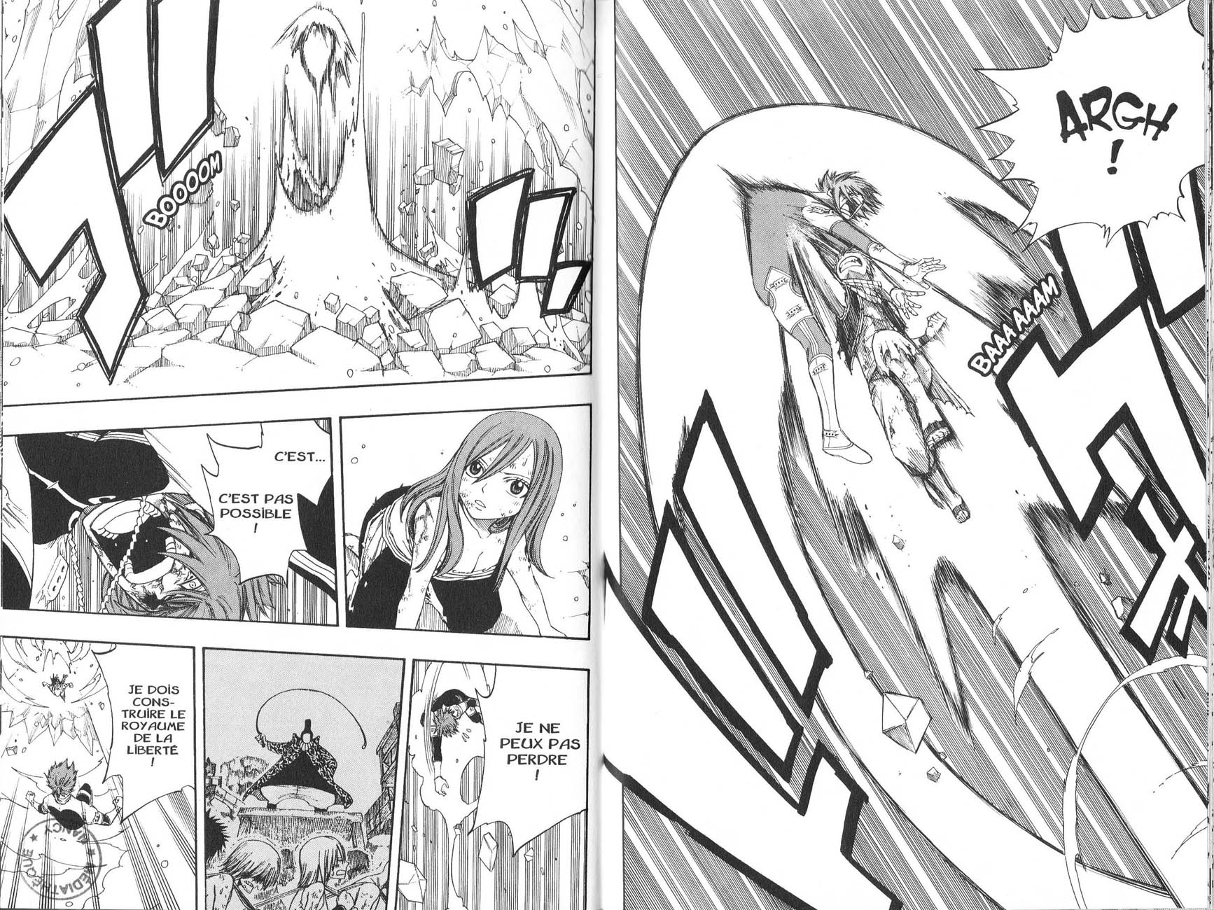 Read Fairy Tail FR Manga Online
