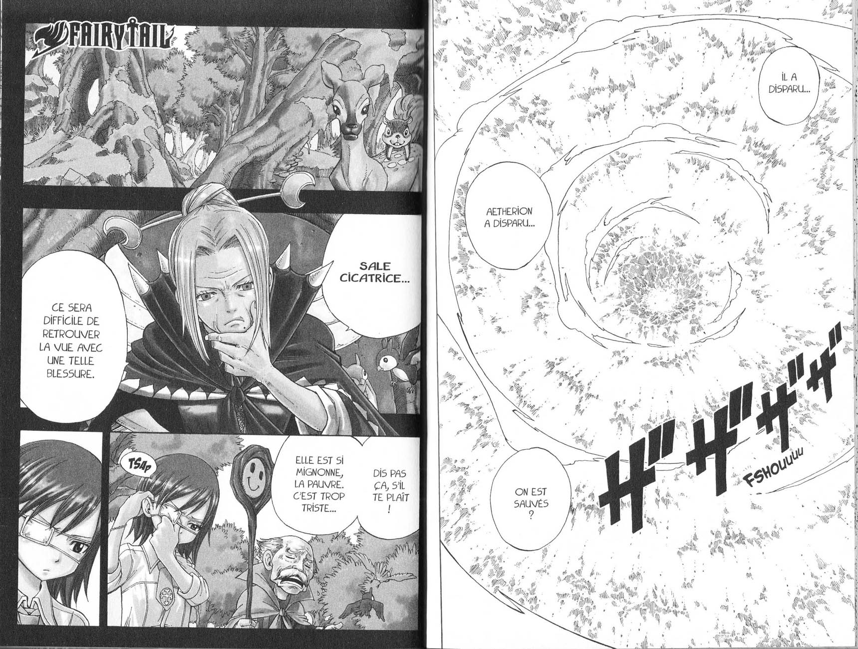 Read Fairy Tail FR Manga Online
