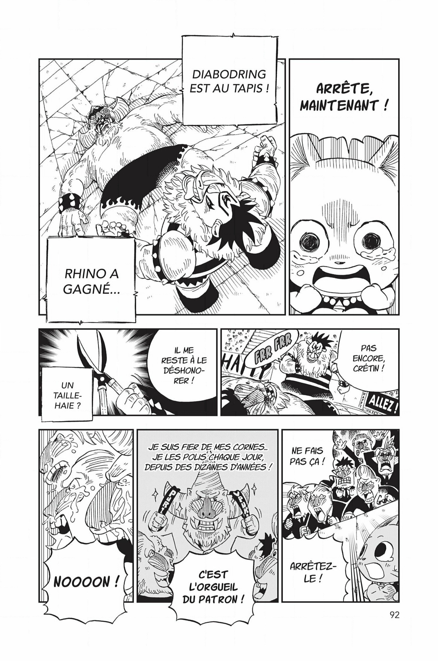 Read Fairy Tail FR Manga Online