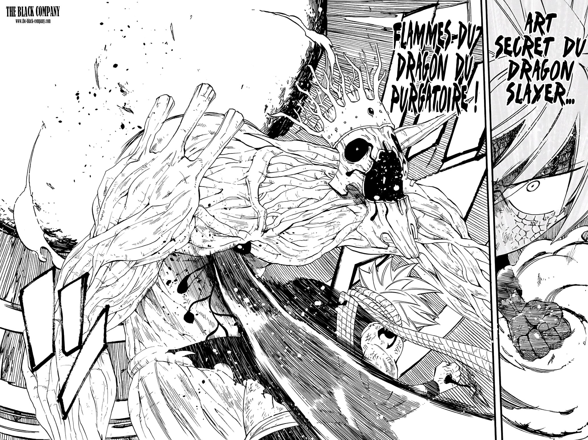 Read Fairy Tail_ 100 Years Quest FR Manga Online