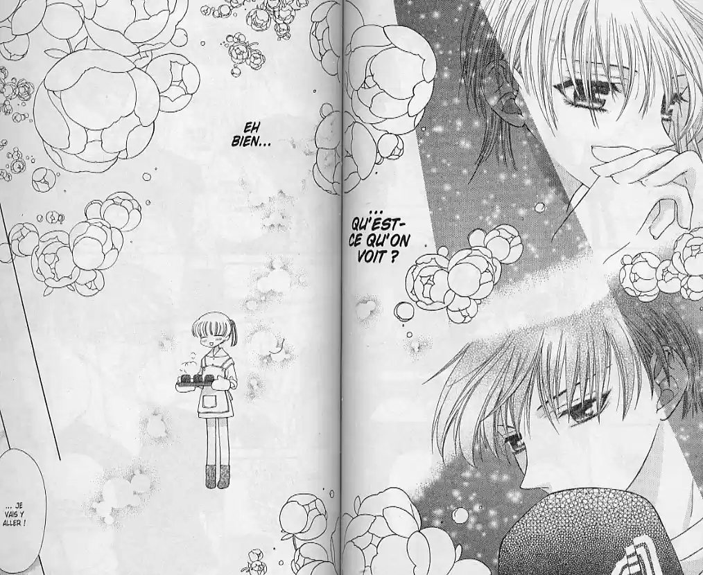 Read Fruits Basket FR Manga Online