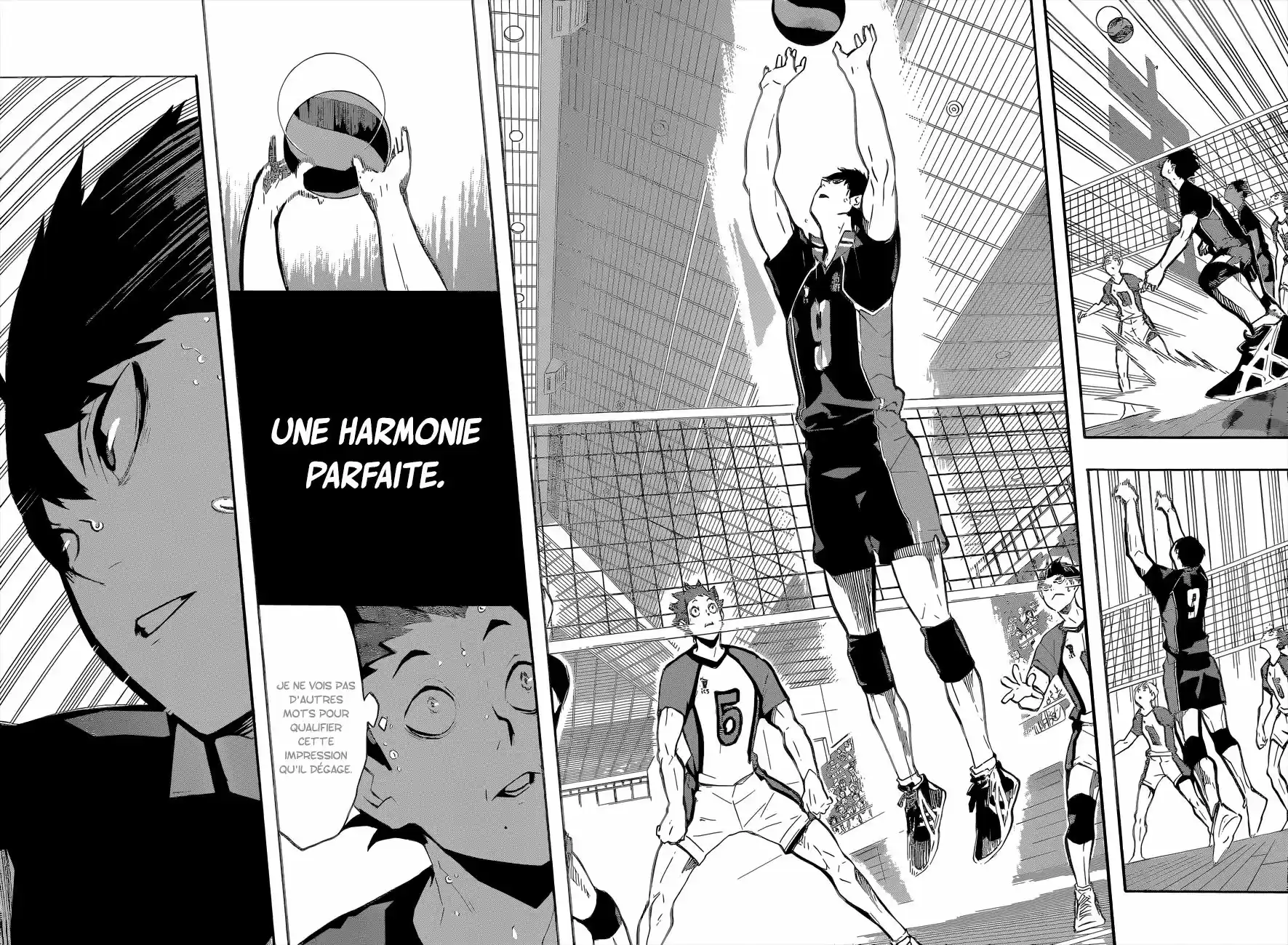 Read Haikyuu FR Manga Online