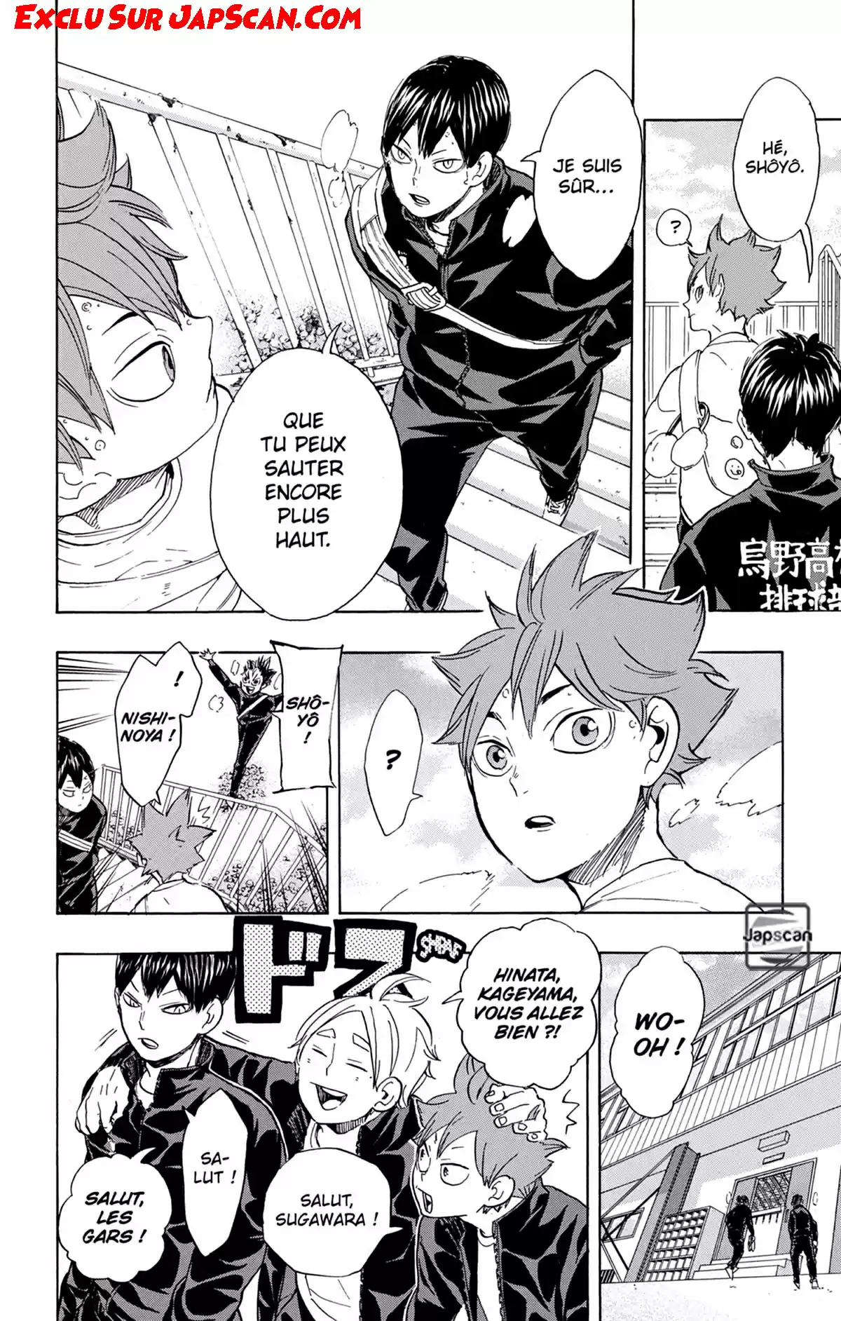 Read Haikyuu FR Manga Online