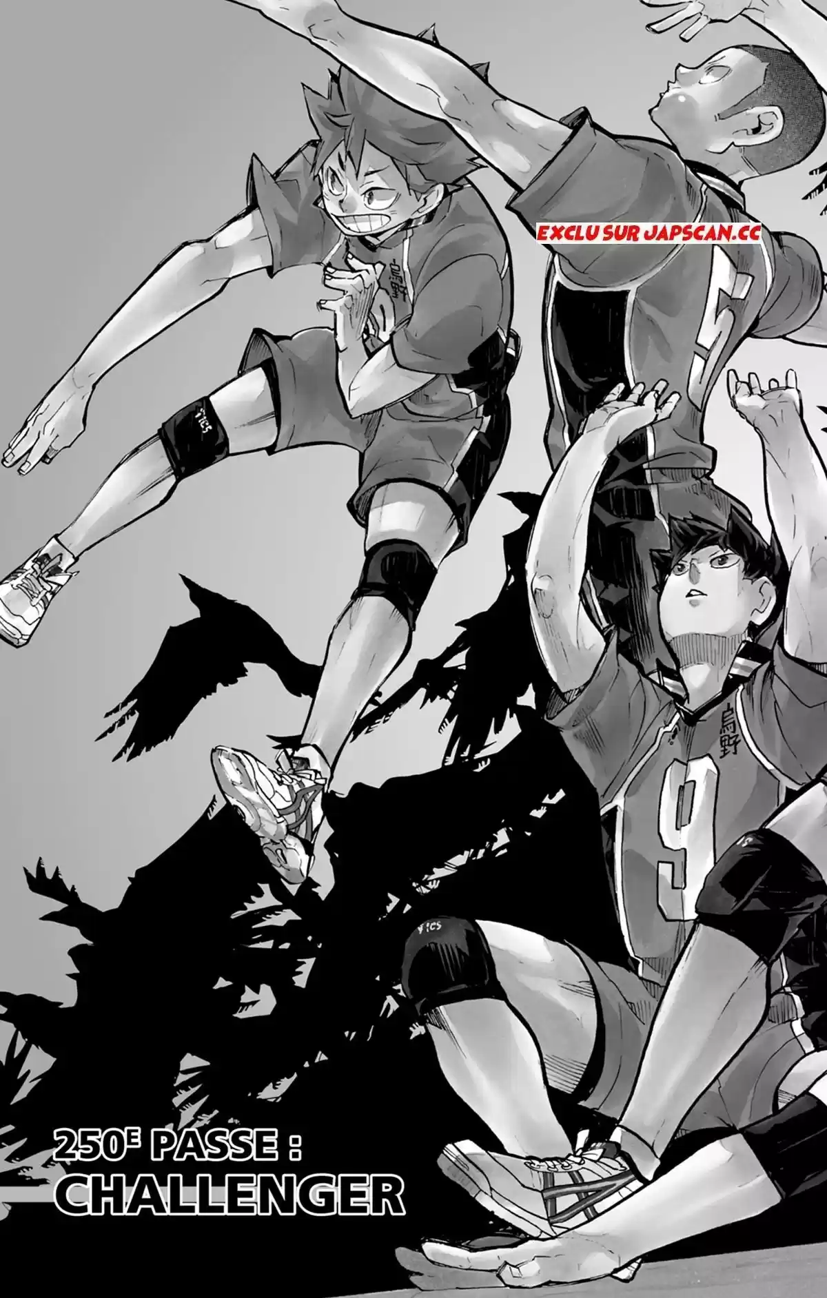 Read Haikyuu FR Manga Online
