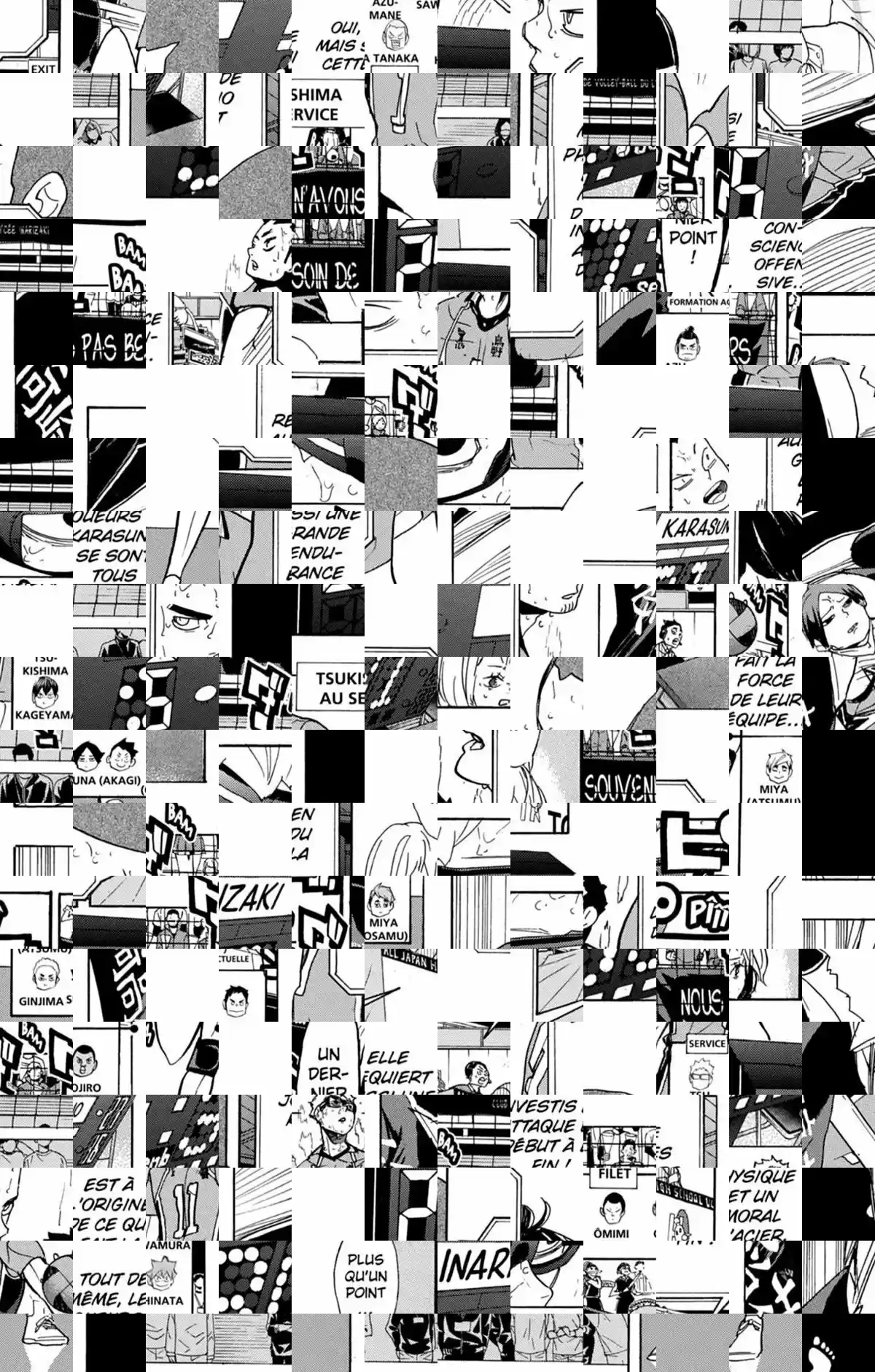Read Haikyuu FR Manga Online