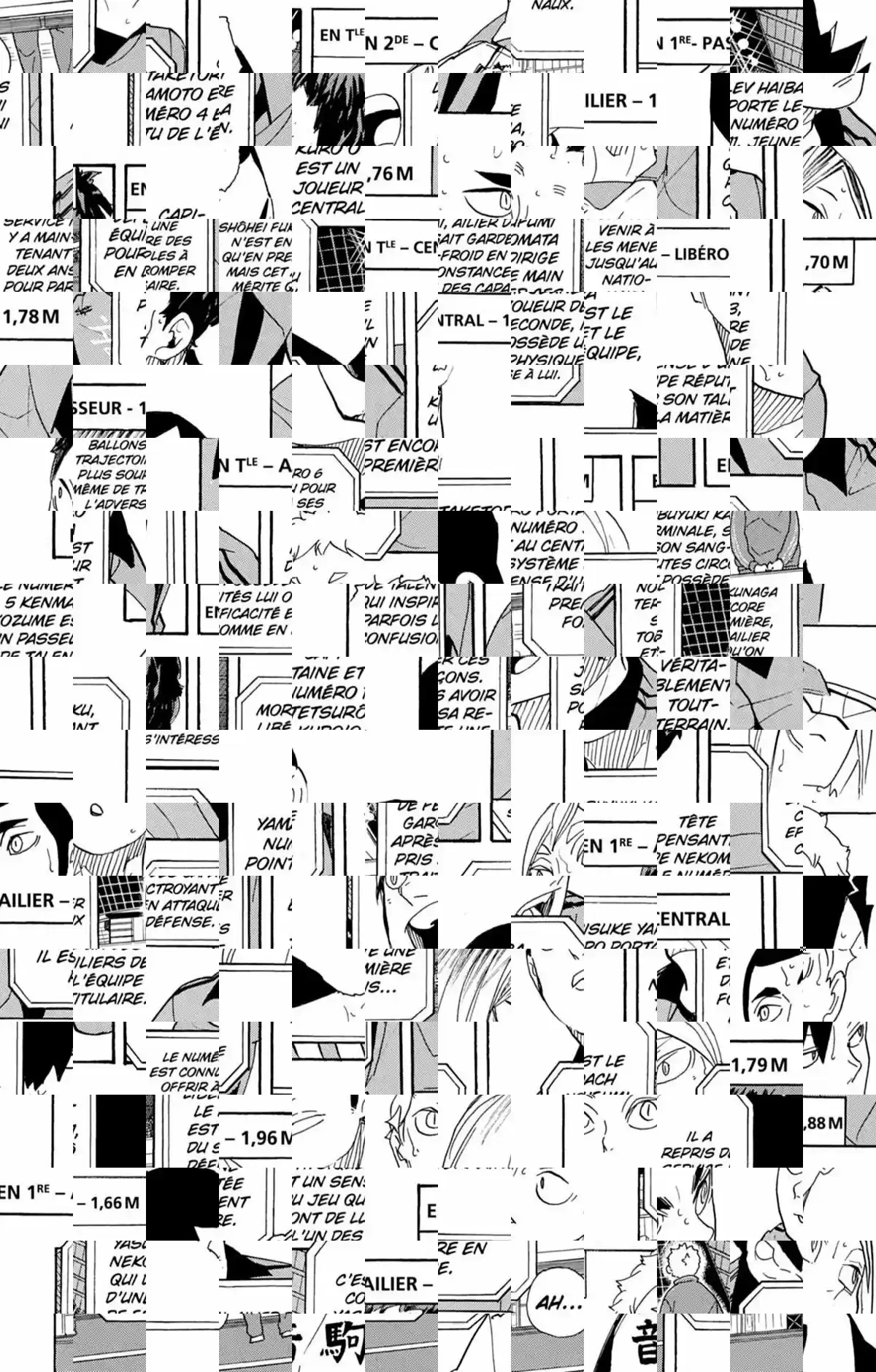 Read Haikyuu FR Manga Online