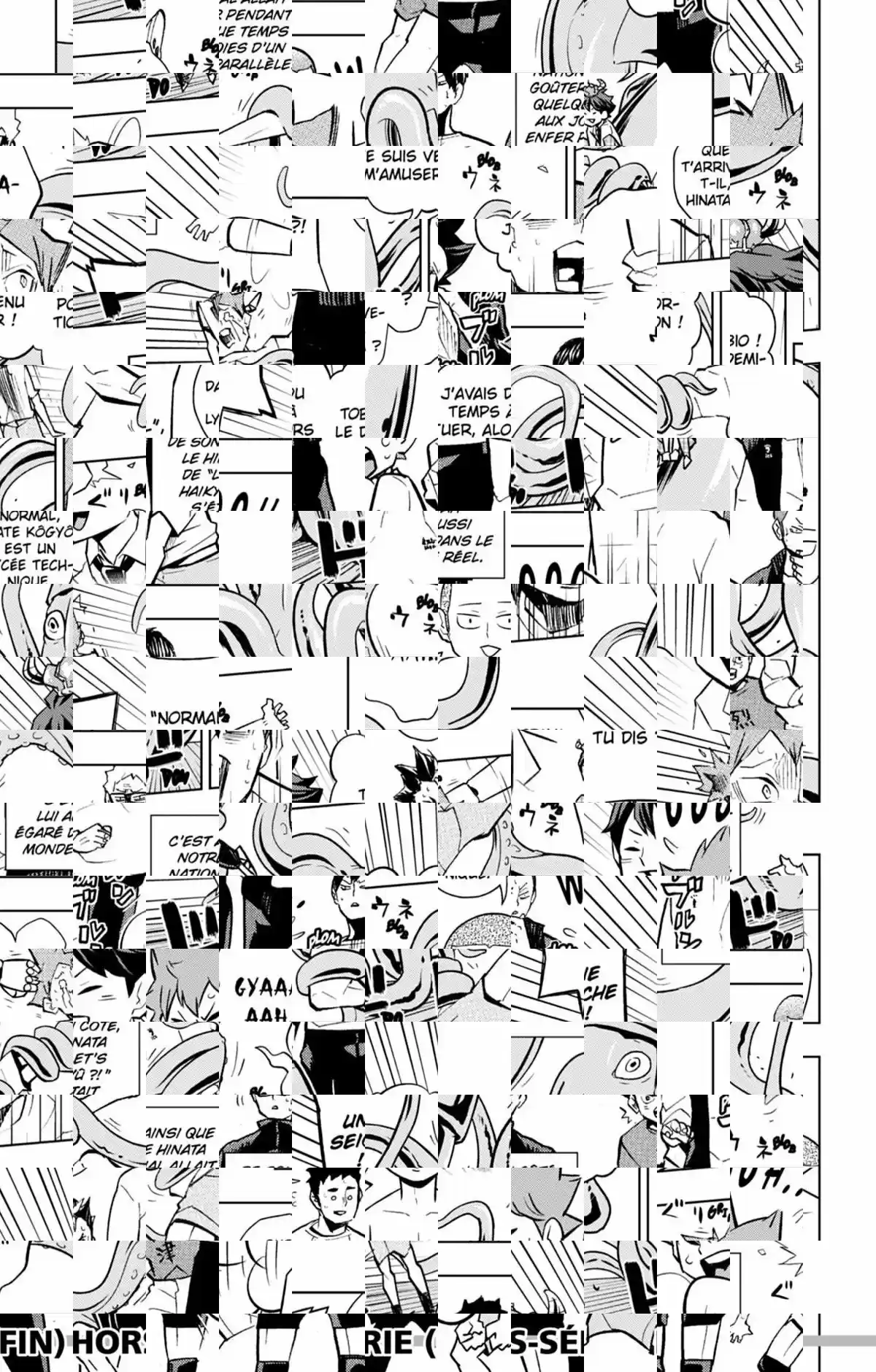 Read Haikyuu FR Manga Online