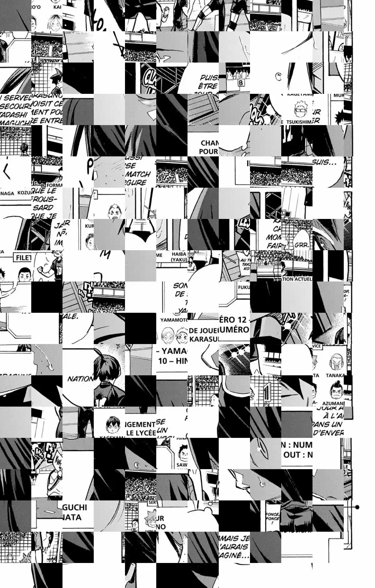 Read Haikyuu FR Manga Online