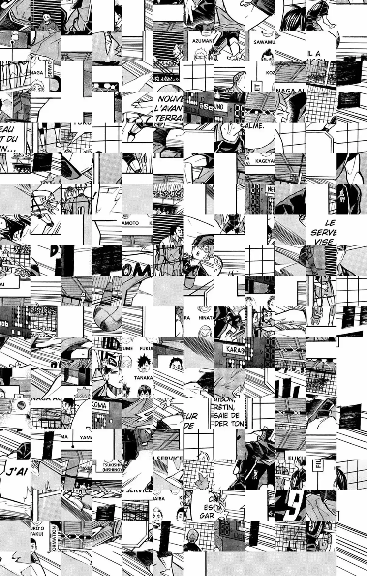 Read Haikyuu FR Manga Online